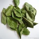 persimmon leaves extract
